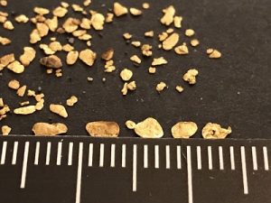 Quels sont les 8 indices pour trouver de l'or en orpaillage ? 2 paillettes d'or et ailes de mouche sur une table et un ruban de mesure