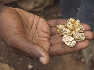 énormes pépites d'or trouvées en Guinée par des chercheurs d'or locaux