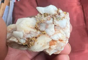Quartz aurifère : pourquoi est-il un bon indice ? 2 specimen de quartz brut enfermant des veines d'or