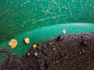 Nettoyer les paillettes d'or : Techniques pour retirer la magnétite des concentrés aurifères 1 batée avec des paillettes d'or et une grande quantité de sable noir avec de la magnétite