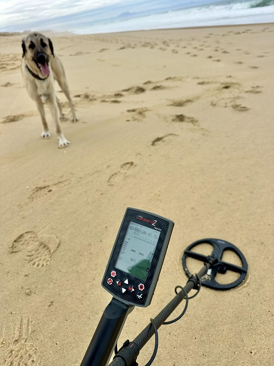 LEGEND 2 : le détecteur le plus puissant de Nokta 13 Test du détecteur Nokta Legend 2 en mode multifréquence M3 sur sable mouillé en bord de mer